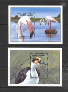 BIRDS - SIERRA LEONE #1739-40 FLAMINGO& PICATHARTES S/S MNH