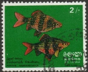 Sri Lanka 476 - Used - 2r Black Ruby Barbs (1972) (cv $9.25)