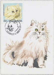 32494 - HUNGARY - MAXIMUM CARD - 1968: Animals CATS CAT-