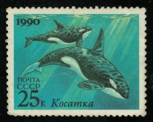 Whale, 25 kop, MNH ** (T-6862)