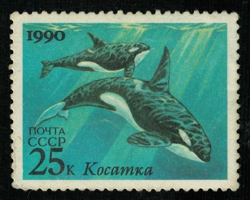 Whale, 25 kop, MNH ** (T-6862)