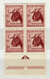 SOUTH AFRICA; 1954 early QEII Wildebeest issue MINT MNH 1d. Positional BLOCK