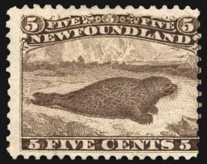 Newfoundland #25 5c Brown 1865-94 perf 12 Faintly Used? Rich Rare