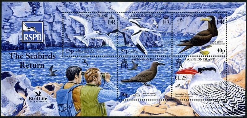 Ascension 868-872,872a sheet,MNH. Bird Life 2005.Fairy tern,Booby,Noddy,Tropic