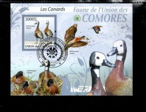 COMORO ISLANDS 2009 FAUNA BIRDSMINT VF NH O.G S/S CTO (CO6 )