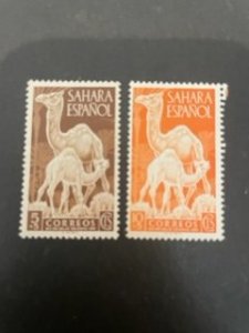 Spanish Sahara sc B16,B17 MNH