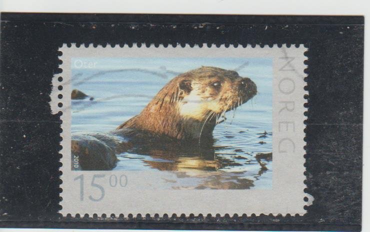 Norway  Scott#  1600  Used  (2010 European Otter)