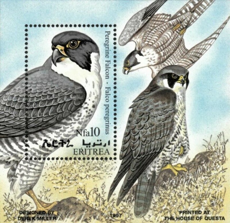 Eritrea 1997 - African Birds Falcons - Souvenir Stamp Sheet - Scott #306 - MNH