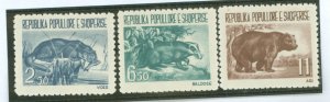 Albania #589-591 Unused Single (Complete Set) (Wildlife)