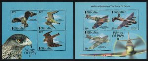 Gibraltar Birds of Prey and Jet Fighters 2 MSs 2nd series 2000 MNH SC#853d