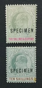 MOMEN: LAGOS SG #51s,53s SPECIMEN 1904 MINT OG H LOT #191628-442