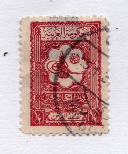 Saudi Arabia        100          used