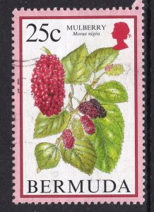 Bermuda 674 Mulberry Used VF