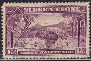 Sierra Leone 175A USED 1941 Rice Harvesting