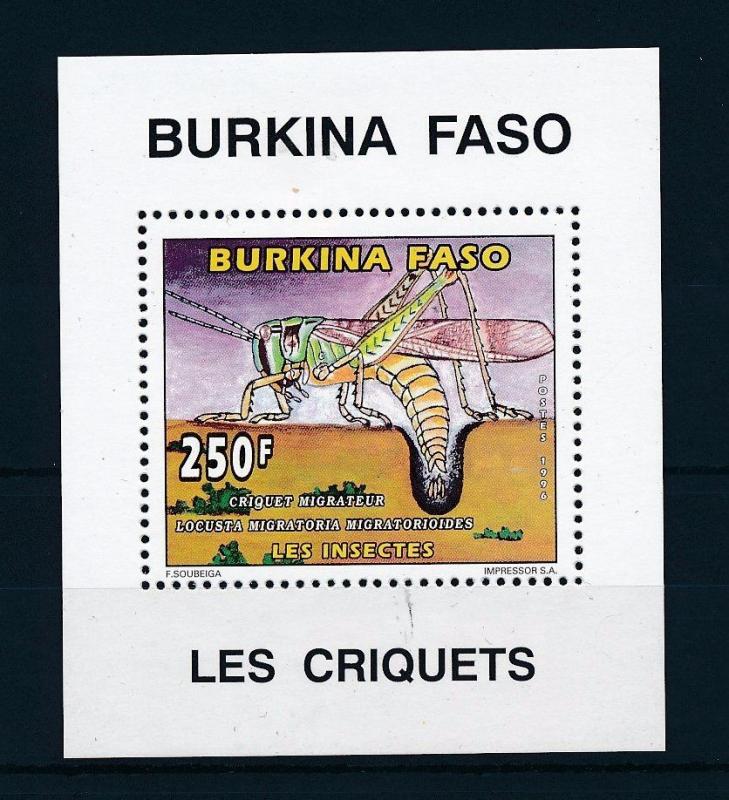 [30465] Burkina Faso 1996 Insects Insekten Insectes  MNH Sheet