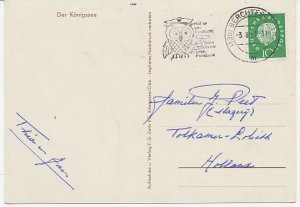 Postcard / Postmark Germany 1961 Bird - Owl