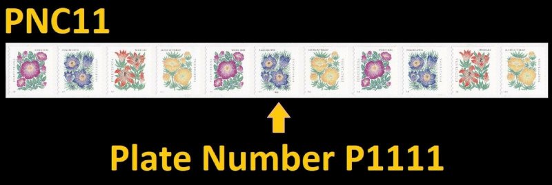 US 5672-5675 5675a Mountain Flora forever PNC11 P1111 MNH 2022 