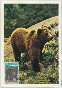 63364 - FRENCH ANDORRA - POSTAL HISTORY: MAXIMUM CARD - ANIMALS: BEAR 1971-