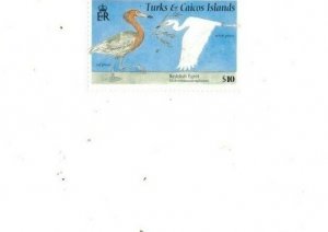 Turks and Caicos - 1995 - Bird Definitive - Single Stamp - MNH