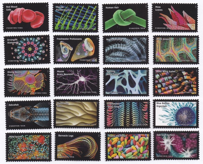 US 5802a-5802t 5802 Life Magnified forever set (20 single stamps) MNH 2023