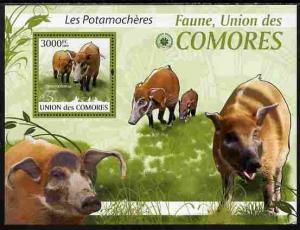 Comoro Islands 2009 Bush Pigs perf s/sheet unmounted mint...