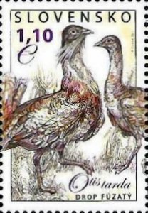 Slovakia 2011 Nature Conservancy Rare birds Great Bustard (Otis tarda) Stamp MNH