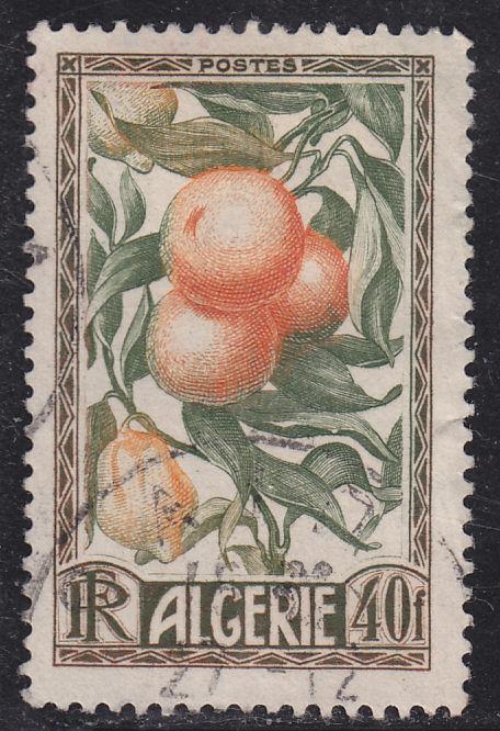 Algeria 231 Oranges & Lemons 1950