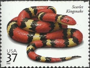 # 3814 MINT NEVER HINGED ( MNH ) SCARLET KING SNAKE