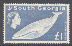 South Georgia Falkland Is Scott 15 - SG15, 1963 Elizabeth II £1 MNH**