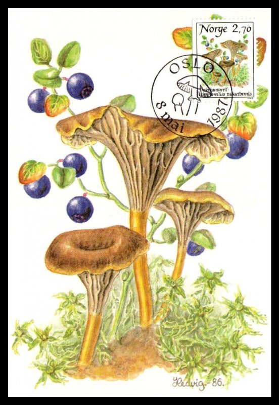 Norway 884-889 Mushrooms Set of Six Maxi Cards U/A FDC