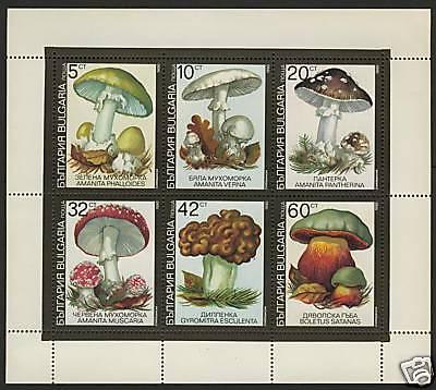 Bulgaria 3602a MNH Mushrooms