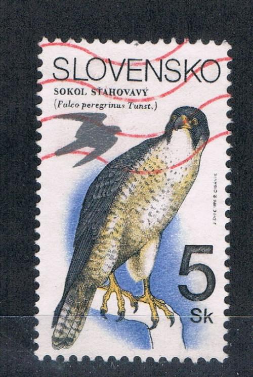 Slovakia #185 Used Falco peregrlnus (S0171)