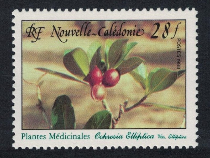 New Caledonia 'Ochrosia elliptica' Medicinal Plants 28f 1988 MNH SG#830