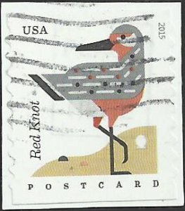 # 4997 Used Coastal Birds Red Knot