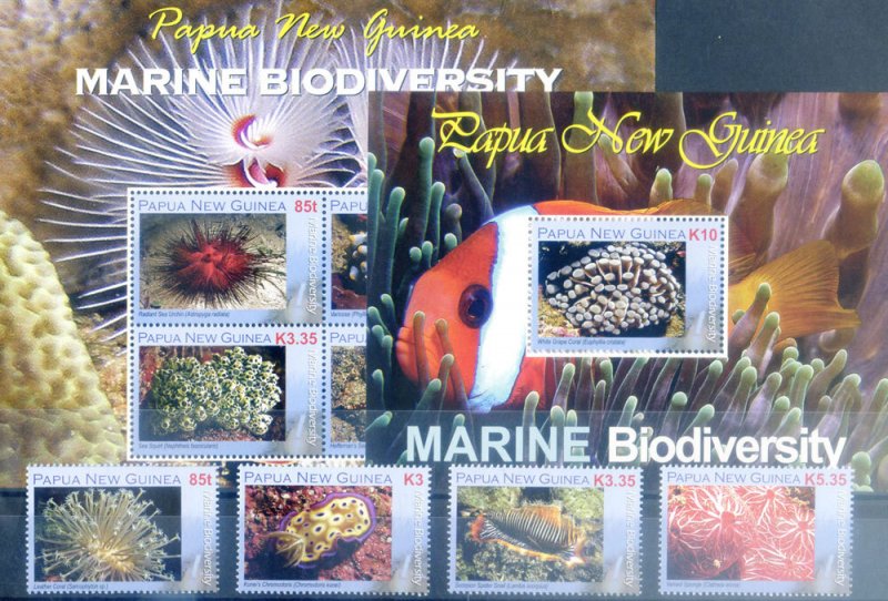 2008 Marine Biodiversity.