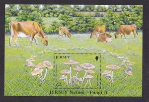 Jersey   #1189   MNH  2005  sheet mushrooms