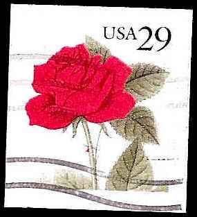 # 2490 USED RED ROSE