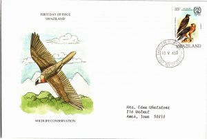 Swaziland, Birds, Fish