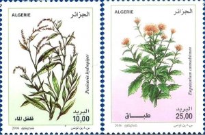 Algeria 2016 MNH Stamps Medical Plants Herbs