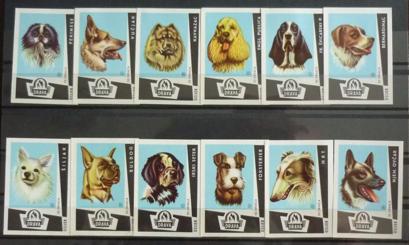 YUGOSLAVIA - MATCH BOX LABELS R! russia usa dogs dog animal fauna J49