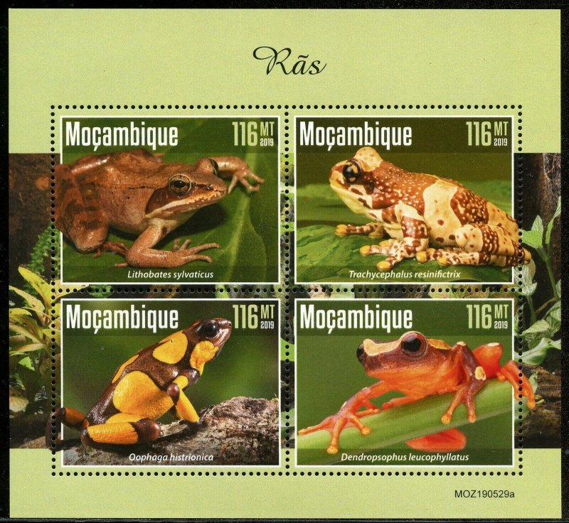 MOZAMBIQUE 2019 FROGS  SHEET MINT NEVER HINGED