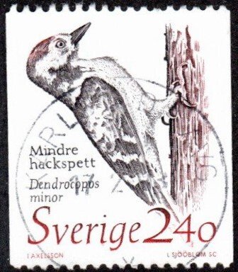 Sweden 1725 - Used - 2.40k Woodpecker (1989) (cv $0.40) (3)