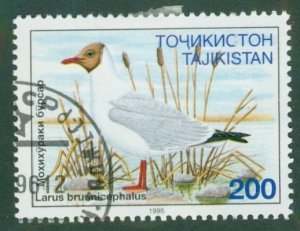 Tajikistan 88 Birds USED BIN$ 1.40