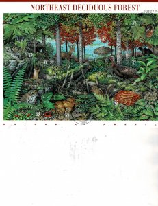 Northeast Deciduous Forest Cancel To Order(CTO) 37c Postage Sheet #3899 VF