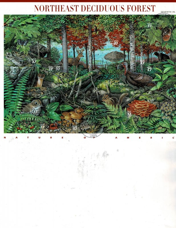 Northeast Deciduous Forest Cancel To Order(CTO) 37c Postage Sheet #3899 VF