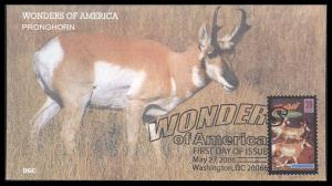 #4048 Pronghorn BGC FDC