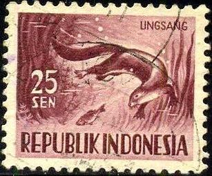 Otter, Indonesia stamp SC#428 used