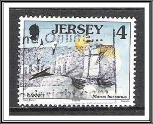 Jersey #864 Birds Used