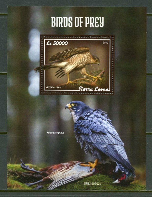 SIERRA LEONE 2019  BIRDS OF PREY SOUVENIR SHEET MINT NEVER HINGED