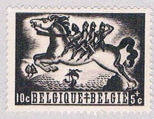 Belgium Horse 10 (AP106903)